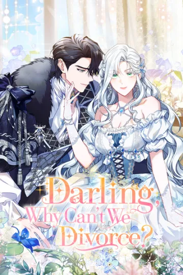Darling, Why Can't We Divorce? cover
