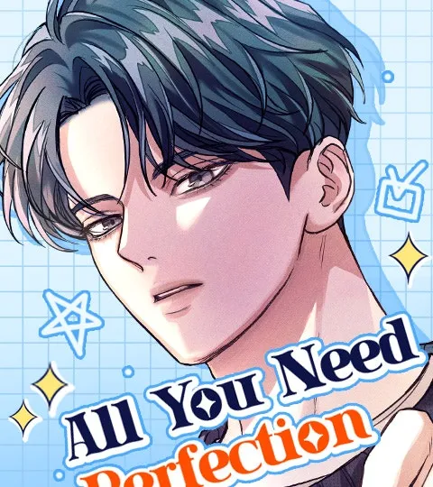 All You Need is Perfection cover