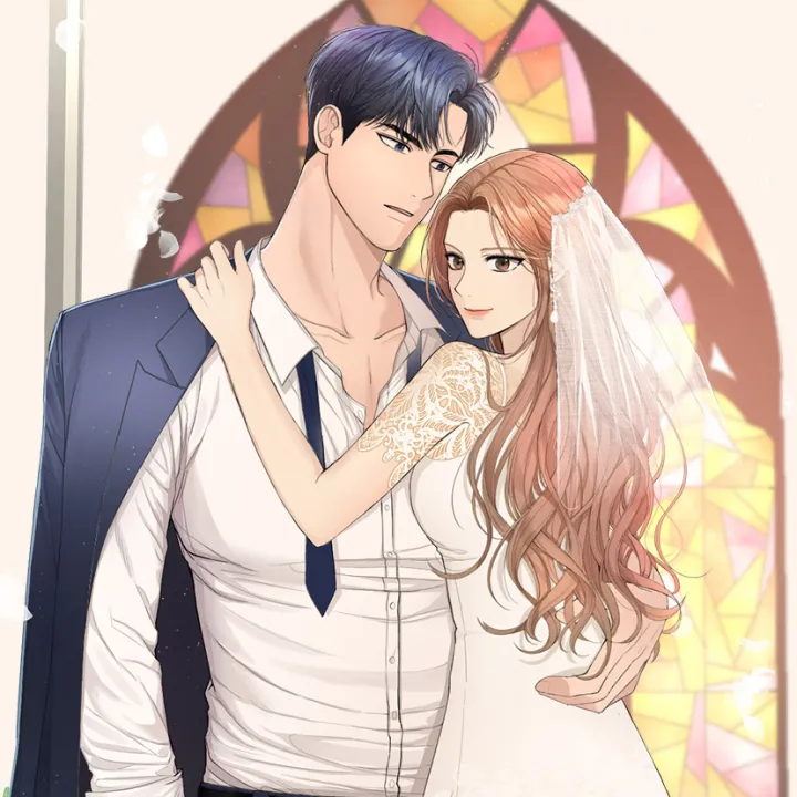 Perfect Marriage Revenge cover